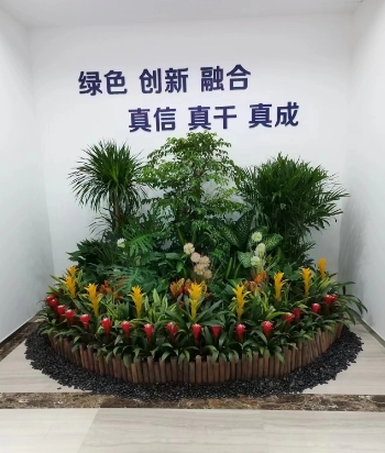 绿植租摆