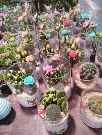绿植租摆