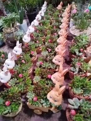 绿植租摆